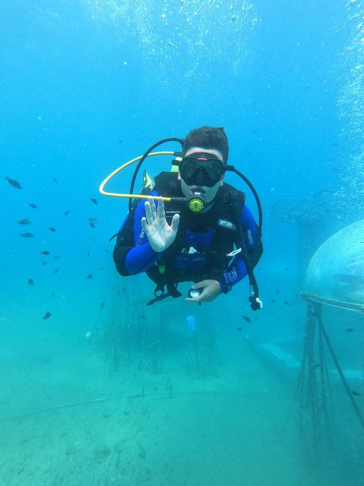 Davide Carrera